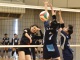交流戦２３９