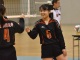 交流戦２９５