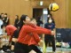 秋季リーグ戦２１７